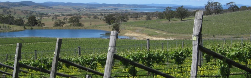 Frogmore Creek